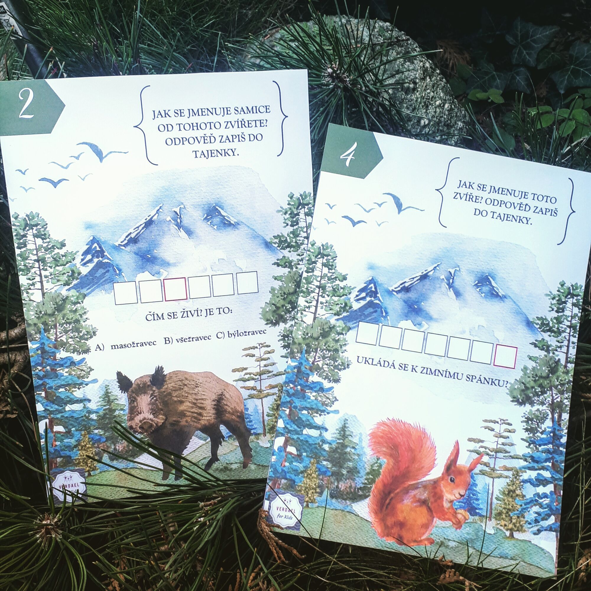 stezka lesní zvěře